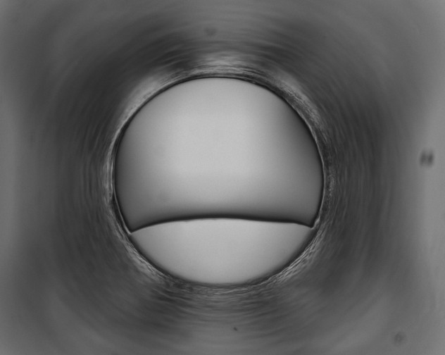 X0000100921370200806241103