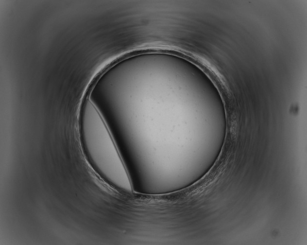 X0000100921372200806241103