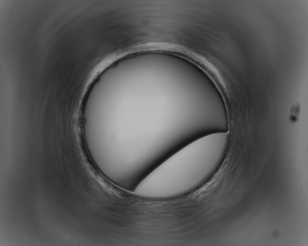 X0000100921373200806241103