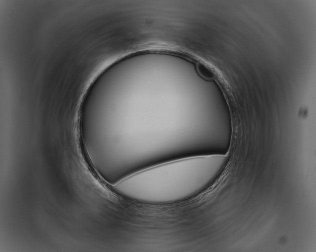 X0000100921375200806241103