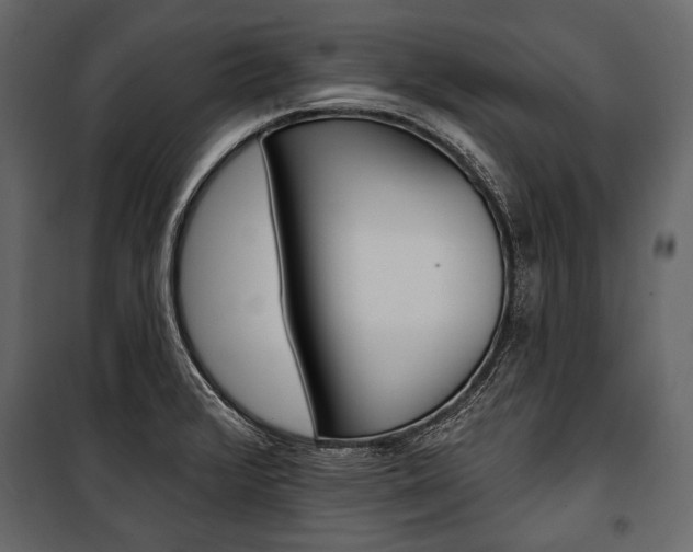 X0000100921376200806241103