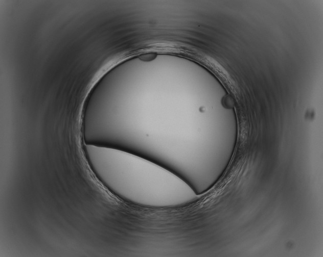 X0000100921378200806241103