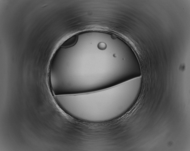 X0000100921379200806241103