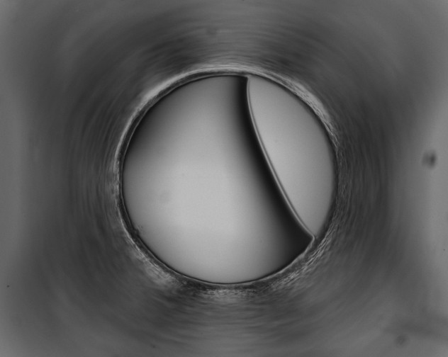 X0000100921380200806241103