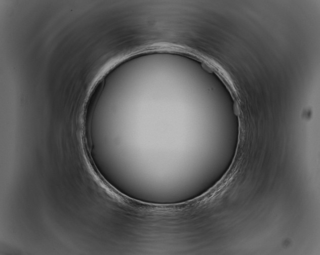 X0000100921381200806241103