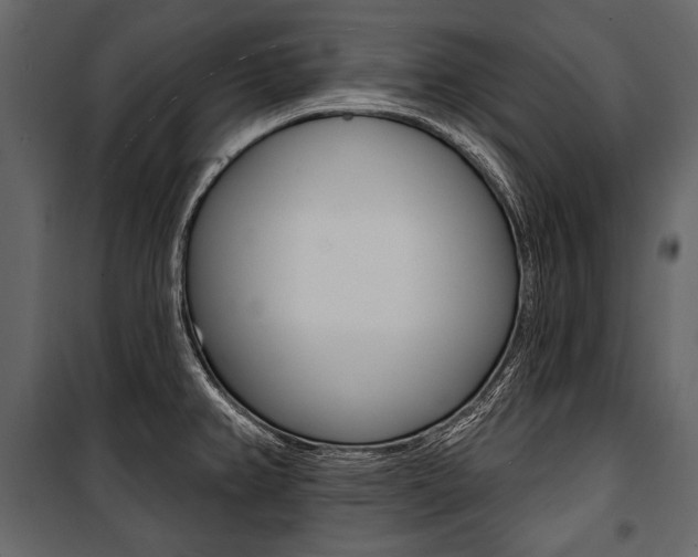 X0000100921382200806241103