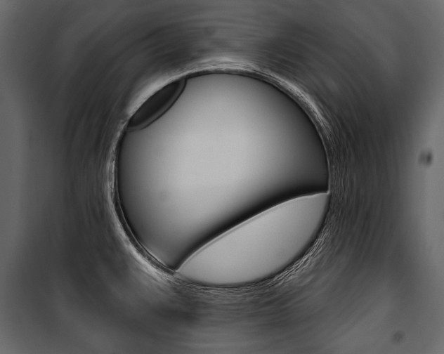 X0000100921383200806241103