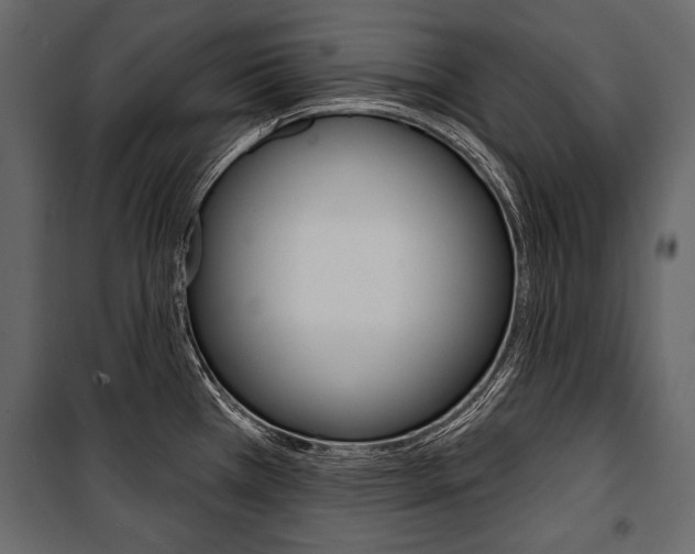 X0000100921385200806241103