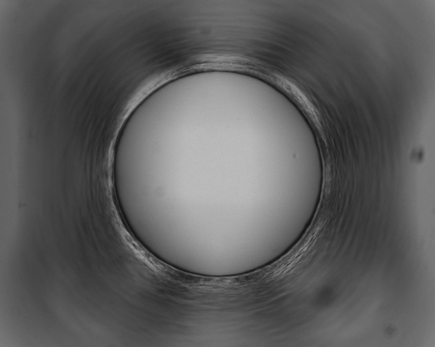 X0000100921386200806241103
