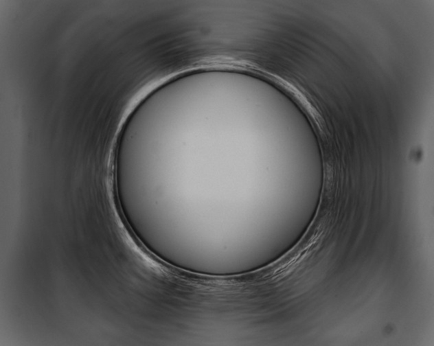X0000100921387200806241103