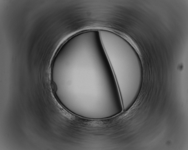 X0000100921388200806241103