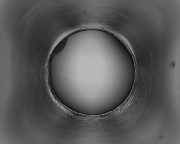X0000100921389200806241103