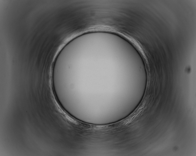 X0000100921390200806241103