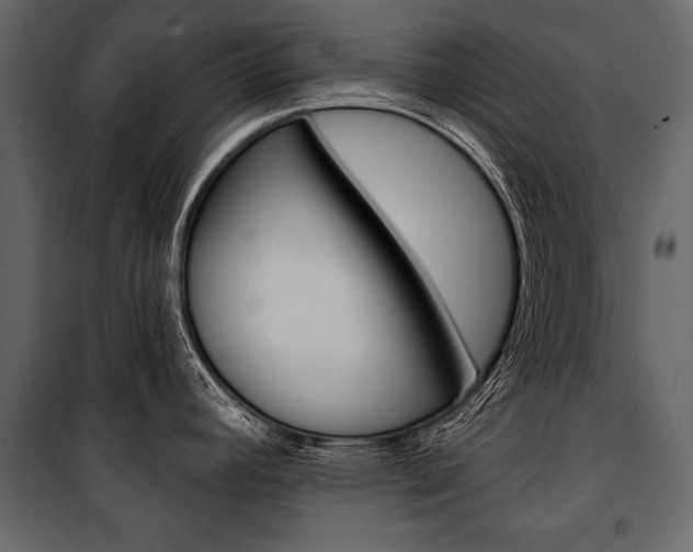 X0000100921392200806241103