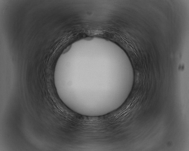 X0000100921393200806241102