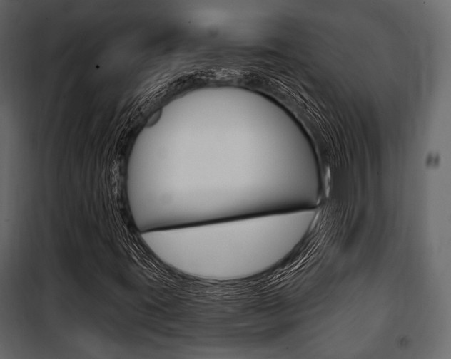 X0000100921395200806241102