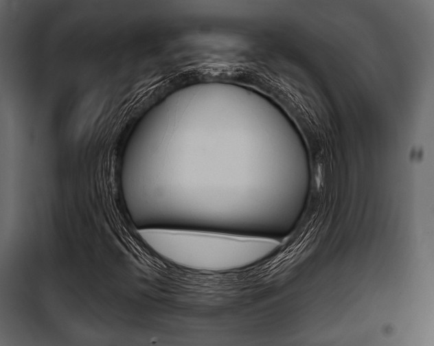 X0000100921396200806241102