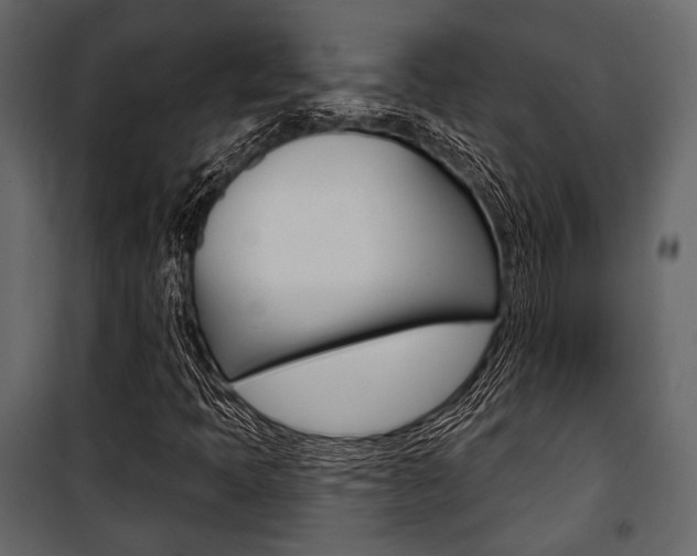 X0000100921397200806241102
