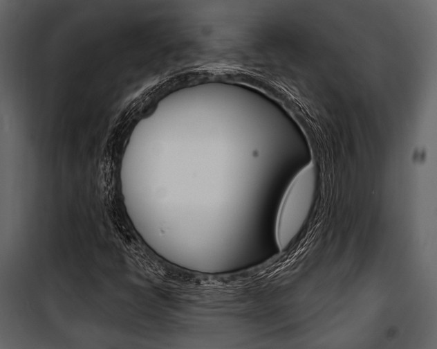 X0000100921398200806241102