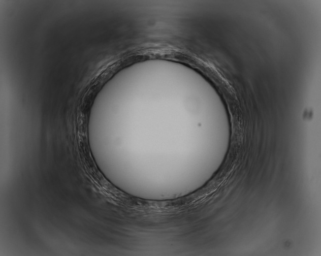 X0000100921399200806241102