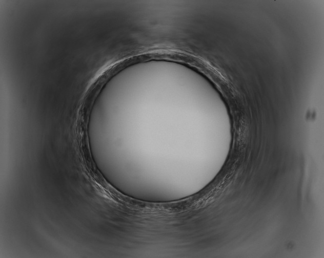 X0000100921400200806241102