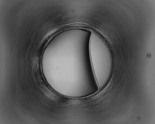 X0000100921402200806241102