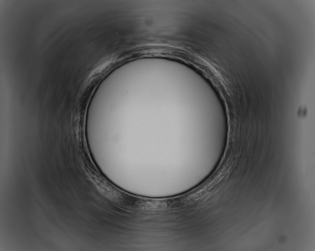 X0000100921403200806241102