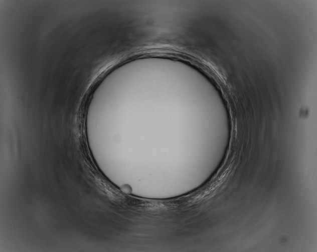 X0000100921405200806241102