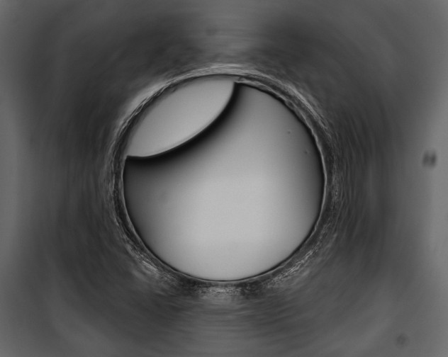 X0000100921406200806241102