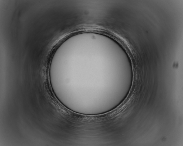 X0000100921407200806241102