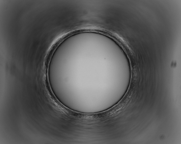 X0000100921408200806241102