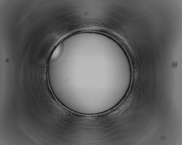 X0000100921409200806241102