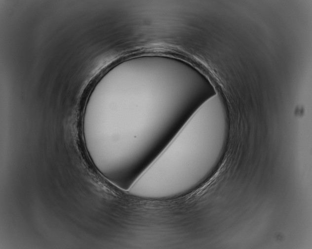 X0000100921410200806241102