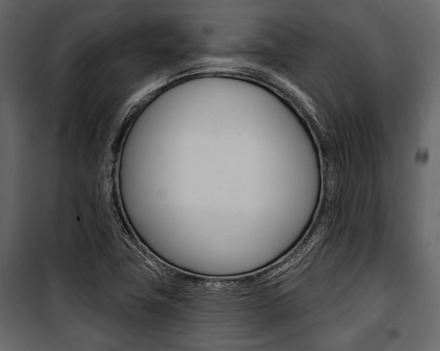 X0000100921411200806241102