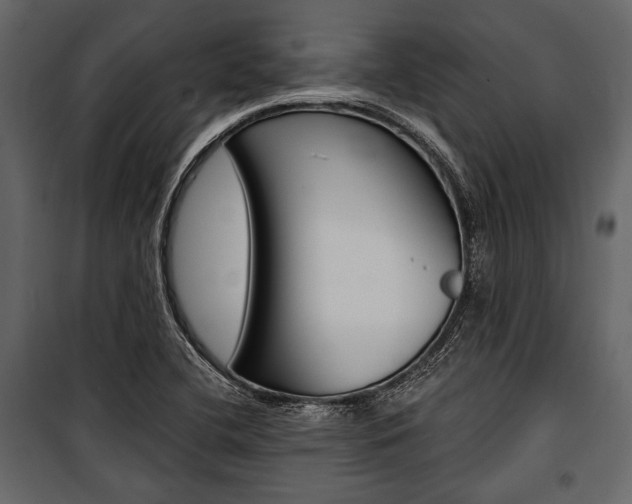 X0000100921412200806241102
