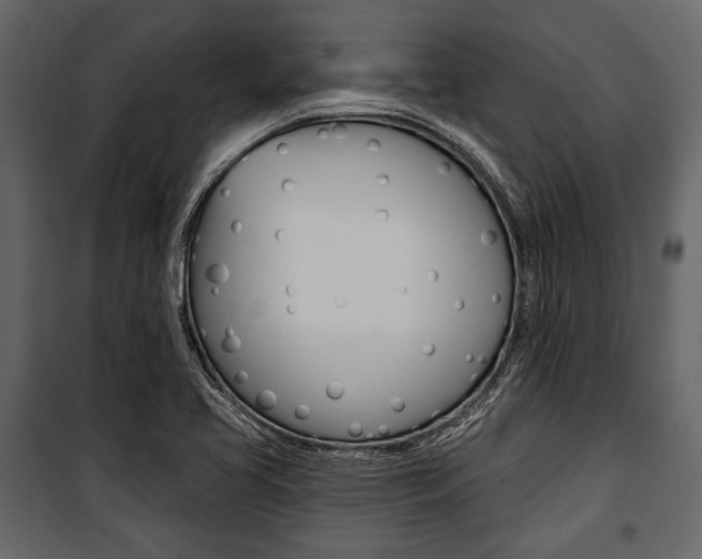 X0000100921413200806241102