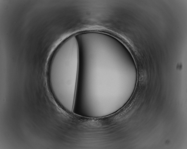 X0000100921414200806241102