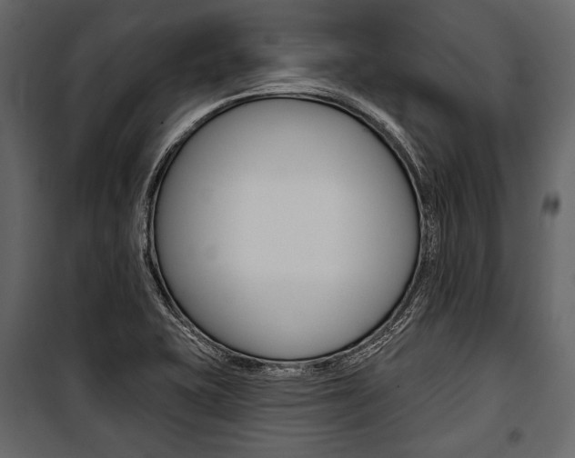 X0000100921415200806241102