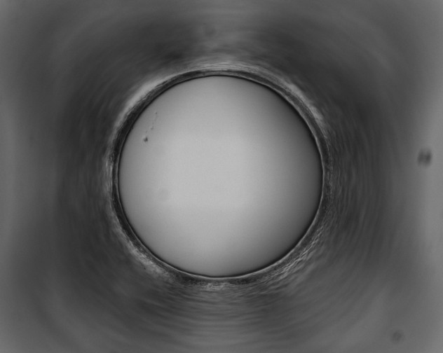 X0000100921416200806241102