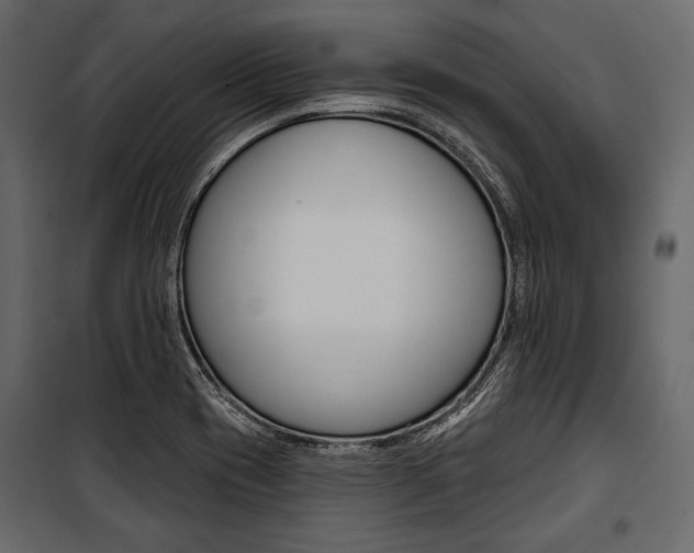 X0000100921417200806241102