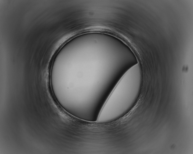 X0000100921418200806241102