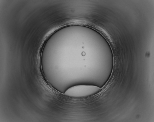 X0000100921419200806241102