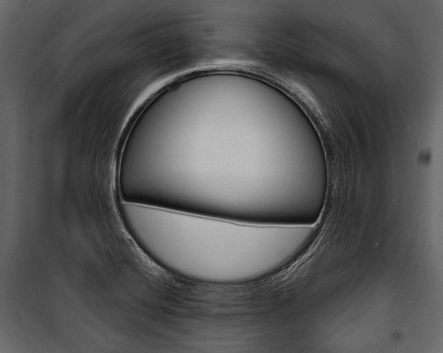 X0000100921420200806241102