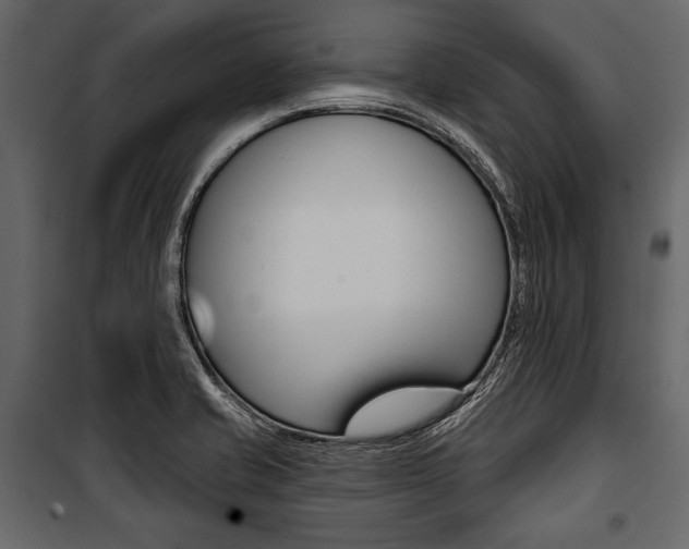 X0000100921421200806241102