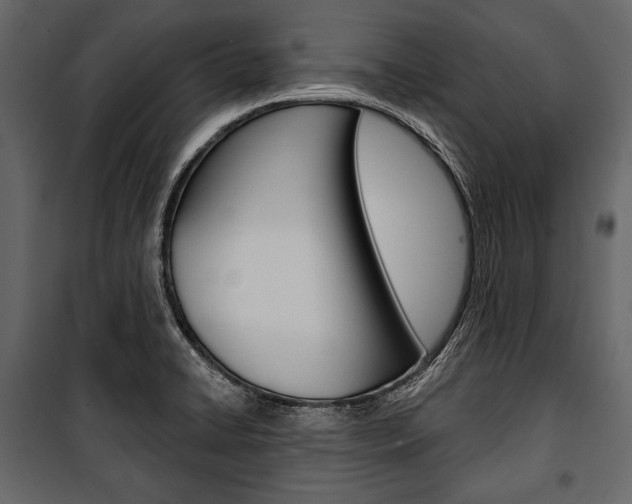 X0000100921422200806241102