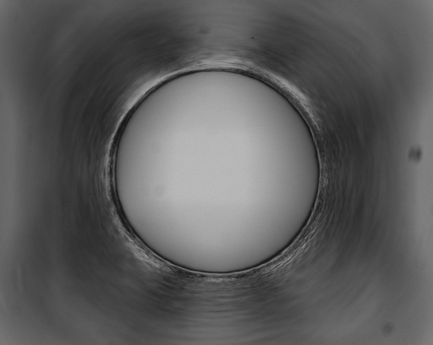 X0000100921423200806241102