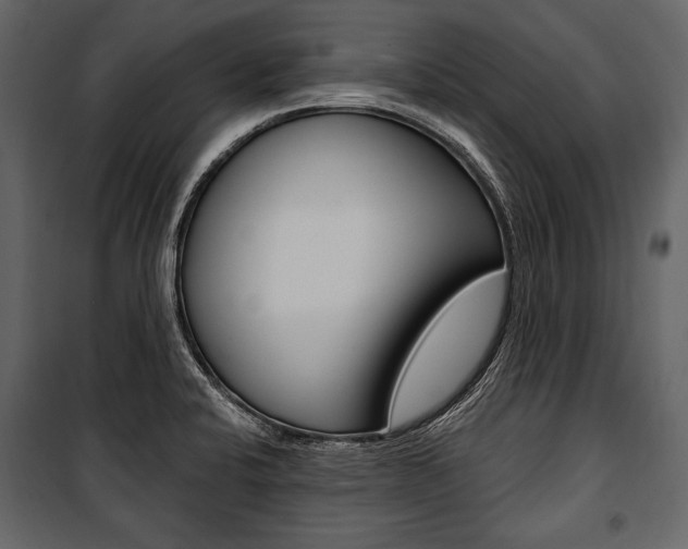 X0000100921424200806241102