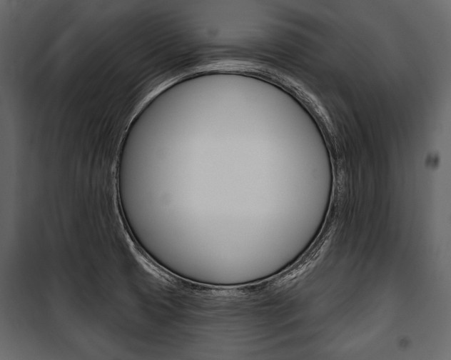 X0000100921425200806241102