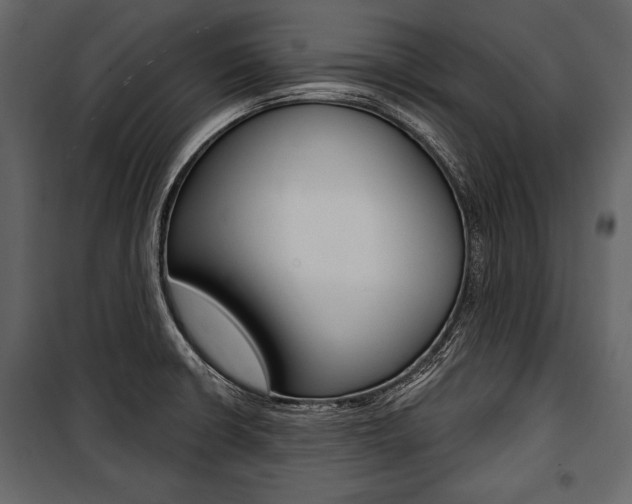 X0000100921426200806241102