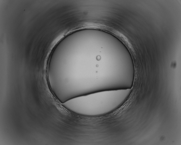 X0000100921427200806241102